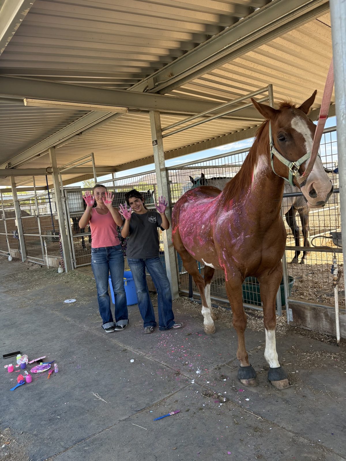 Barn work day at Legacy Ridge Ranch