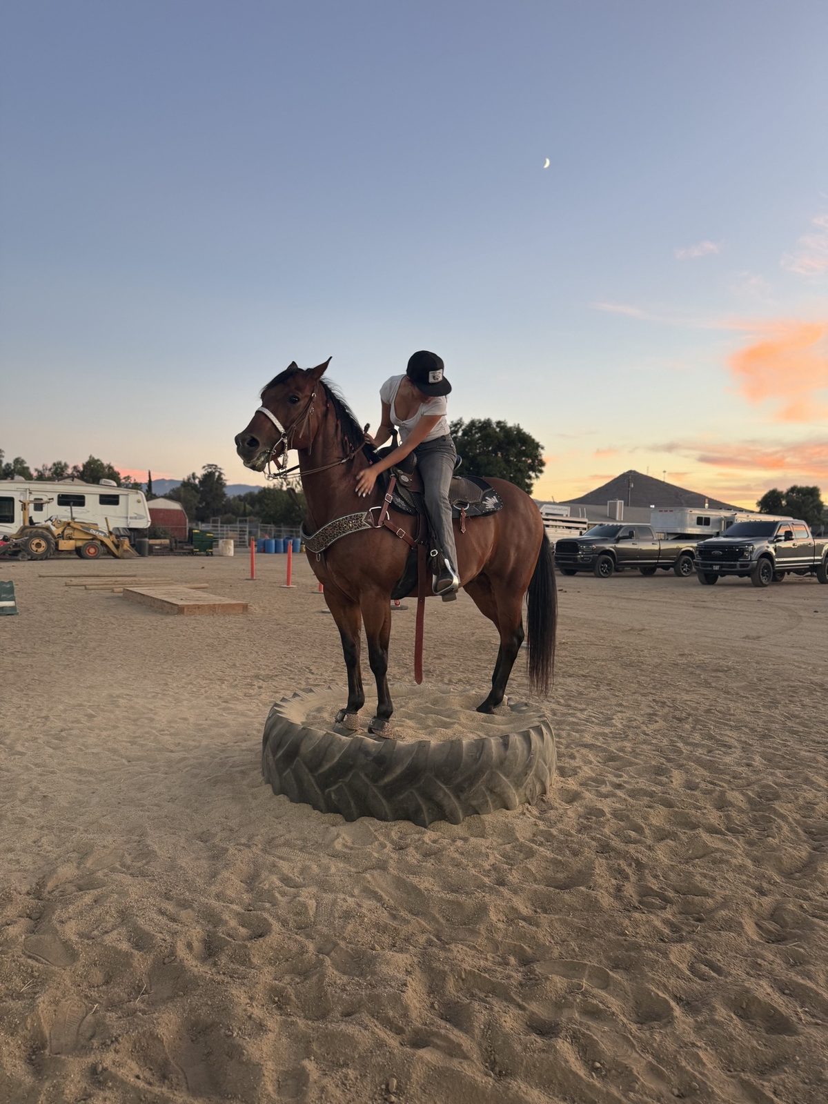 Sami training with her horse on a tire obstacle at sunset